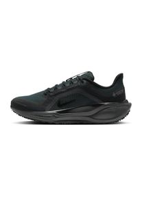 Nike Pegasus 41 GTX Homme