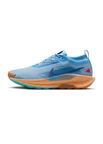 Nike Pegasus Trail 5 GTX Homme