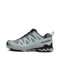 Salomon XA Pro 3D V9 GTX Femme