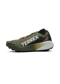 Adidas Terrex Agravic GTX Homme