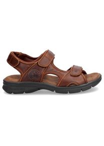 Panama Jack Salton Basics C4 Sandalen Heren (46 |bruin)