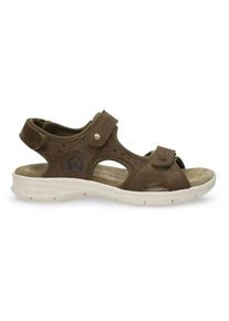 Panama Jack Salton C39 Sandalen Heren (47 |bruin)