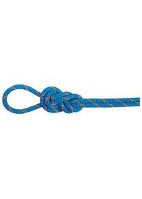 Mammut 8.0 Alpine Eco Dry Rope Half rope (30 m, blue/white)