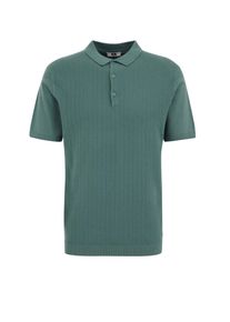 WE Fashion, Mænd, Pullover, Grøn, Størrelse XL