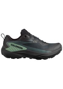 Salomon Genesis GORE-TEX Trail running shoes Men (12,5, black)