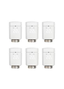 eve Thermo Matter 6-pack