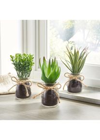 Kunstplant met glazen pot 3-dlg. set - groen - maat 0 (Ø 10 cm) - bonprix