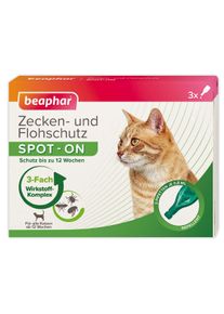 beaphar Zecken- & Flohschutz SPOT-ON für Katzen + Zeckenstift gratis