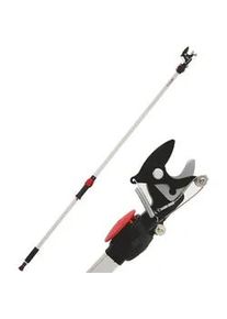 Ausonia - Astschere auf festem Schaft 2m - Ø 35mm - Drehkopfstück - Baumschere