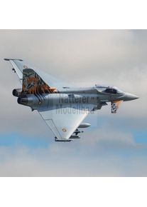 Freewing Eurofighter Typhoon grau EPO 1030mm Ultra Performance 8s PNP