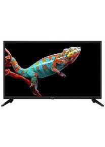 Dyon Enter 32 Pro-X2 32" LED TV Fernseher Triple Tuner HD Ready CI+ HDMI USB schwarz