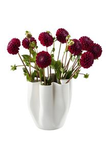 Livree Vase Philippi
