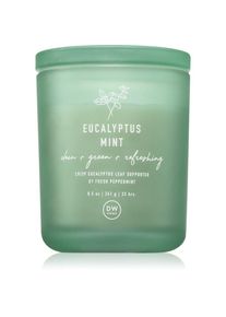 DW Home Prime Eucalyptus Mint scented candle 255 g