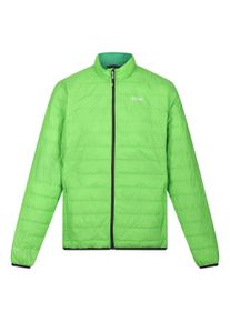 Regatta Hillpack gewatteerd ge&iuml;soleerd jasje heren