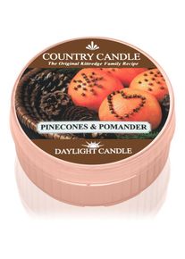 Country Candle Pinecone & Pomander candela scaldavivande 42 g