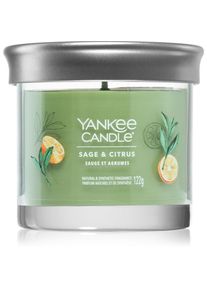 yankee candle Sage & Citrus candela profumata 122 g
