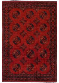 Afghan Oriental rug 200x290 (Afghanistan) Hand Knotted