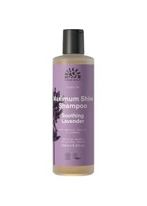 Urtekram Soothing Lavender Maximum Shine Shampoo Female 250 ml