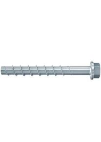 Fischer ULTRACUT FBS II 10x160 105/95/75 US