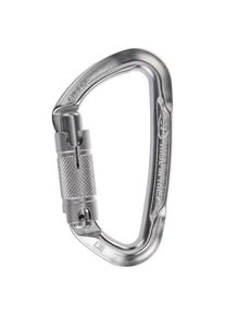 climbing technology Lime WG Snapgate carabiner (One Size, grey)