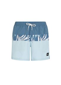 O`Neill O'NEILL Heren Zwembroek 'Cali' duifblauw / gemengde kleuren L