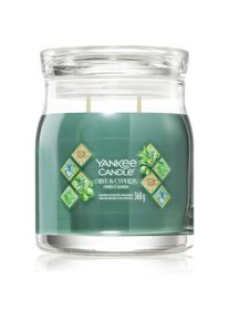 yankee candle Olive & Cypress candela profumata 368 g