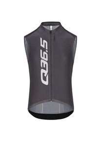 Q36.5 Gregarius Signature Sleeveless Jersey Cycling singlet Men (M, grey)