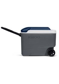 IGLOO Maxcold 40 Roller Coolbox (36 l, grey)