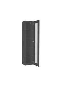 Dmora Vetrina Vladimiro, Credenza a 1 anta con ripiani in vetro, Mobile da soggiorno multiuso, 100% Made in Italy, cm 40x30h180, Antracite