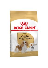 3kg Cavalier King Charles Adult Royal Canin Breed Hondenvoer