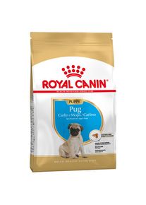 1,5kg Carlin Puppy/Chiot Royal Canin - Croquettes pour Chiot