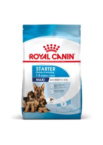 Royal Canin Maxi Starter Mother & Babydog.- 15 kg