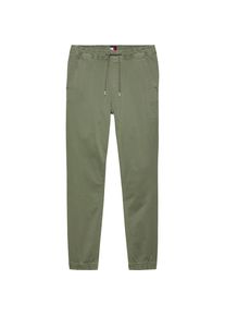 Tommy Hilfiger DM0DM20283 - Jogger pants