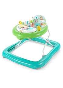 Bright Starts Tiny Trek 2-in-1 Baby Aktivität Lauflernhilfe | mehrfarbig