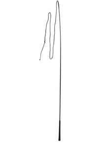 Covalliero Longierpeitsche, 180cm, einteilig