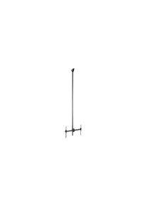 StarTech.com TV-takfäste, Tak, 50kg, 75" (190.5 cm), Displayer som stöds - 1, Svart - FPCEILPTBLP