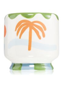 PADDYWAX A Dopo Palm Tree scented candle 226 g