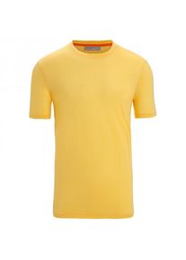Icebreaker Sphere II S/S Tee Merinoshirt Heren (XS |geel)