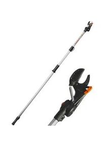 Castellari TUCANO XXL - Teleskop-Baumschere - 240-400 cm - Ø 30 mm