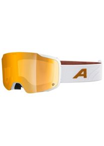 Alpina Taos Q S2 Ski goggles black