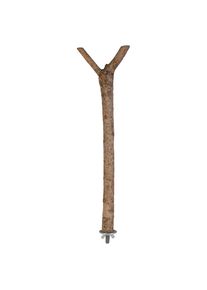 Perchoir Trixie en forme de Y, bois naturel - L 35 cm, diamètre 1,8 cm