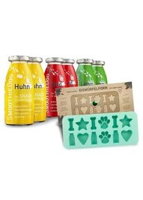 SmoothieDog Klassik 6x 250 ml + Eiswürfelform