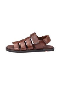 Lloyd Heren Sandalen 'Emory' bruin 40