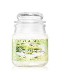 THD Vegetal Muschio Di Montagna scented candle 100 g