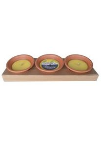 KCB Citronella Terrabowl 3 piezas, terracota / cera, 18 x 7,7 cm, aroma de limón, redondo, amarillo / terracota