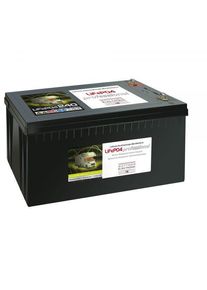 Büttner Elektronik Büttner Elektronik MT LI 240 Lithium-Power Batterie 240Ah Camping Wohnwagen Wohnmobil