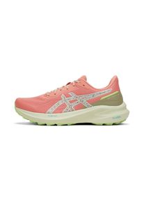 asics GT-1000 13 TR Women