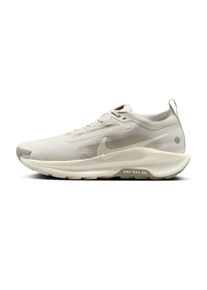 Nike Pegasus Trail 5 GTX Homme