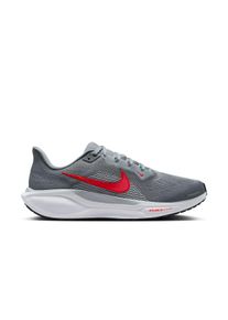 Nike Herren Pegasus 41 grau 44.5