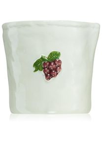 PADDYWAX Bistro Bordeaux Grape scented candle 226 g